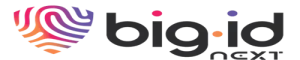 BigID-next-1